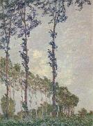 Claude Monet WInd Effect,Sequence of Poplars Spain oil painting artist